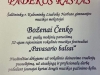 Foto8